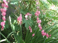 a1fe48c9-Picture 003.jpg